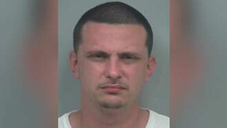 Man With Iconic Cartoon Character's Name Arrested