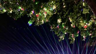 25 Years of Ultra Music Festival In Miami! Dance, Love, & Unity!