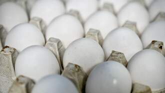 FOOD: These 7 Foods Are Getting a Bad Rap