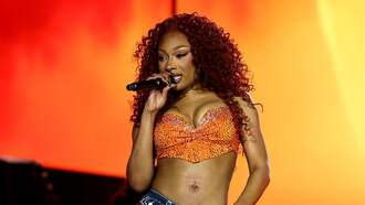 Megan thee Stallion Announces New Single "Lover Girl"