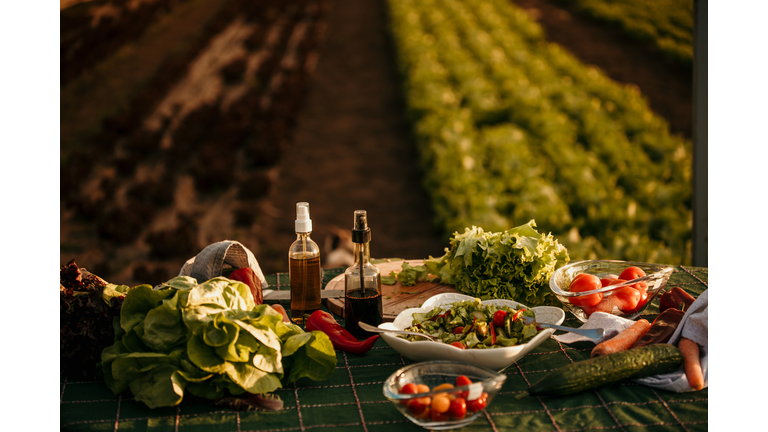 Table for outdoors farm picnic