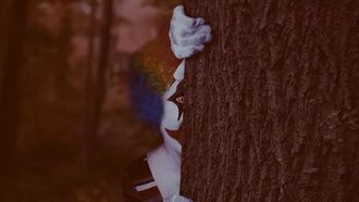 Unsettling Creepy Clown Encounter Reported by Canadian Youngster