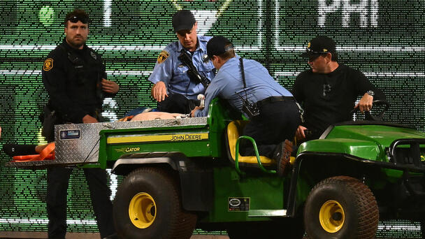 MLB Fan In 'Critical Condition' After Accident During Game