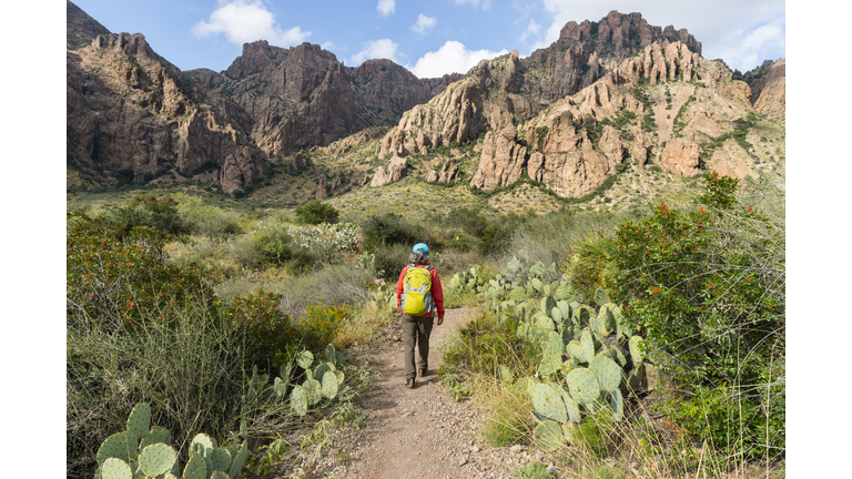 Woman hiking in Big Bend National Park, Texas, USA