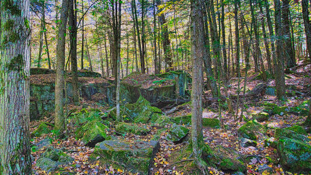 Picturesque Illinois Trail Crowned 'Best Hike' In The Entire State