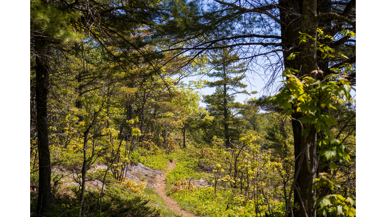 Hiking at Isle Royale