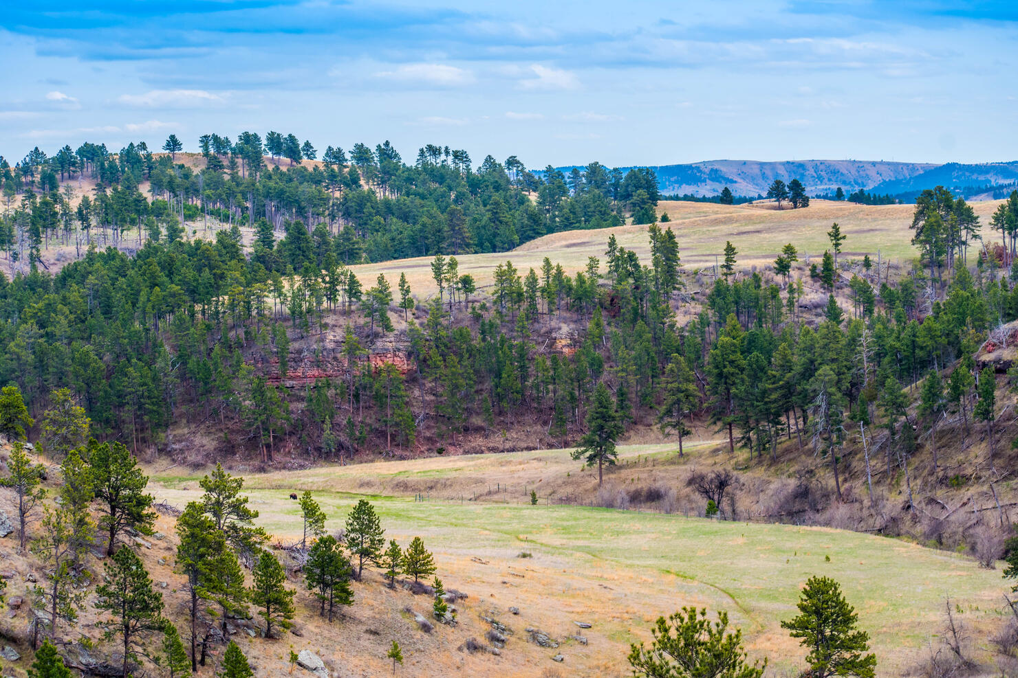 A beautiful overlooking view of nature in Wind Cave National Park, South Dakota