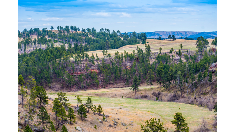 A beautiful overlooking view of nature in Wind Cave National Park, South Dakota