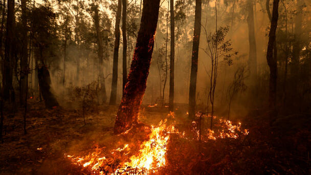 Tough Wildfire Season Expected