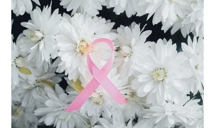 A pink ribbon on white chrysanthemums, breast cancer awareness month.