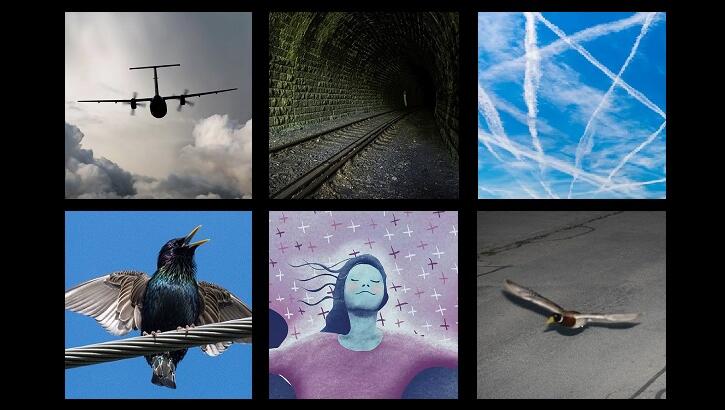 This Week's Weird News 5/16/25