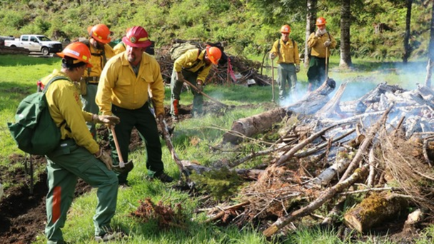 Adults In Custody Repair For Wildfire Season