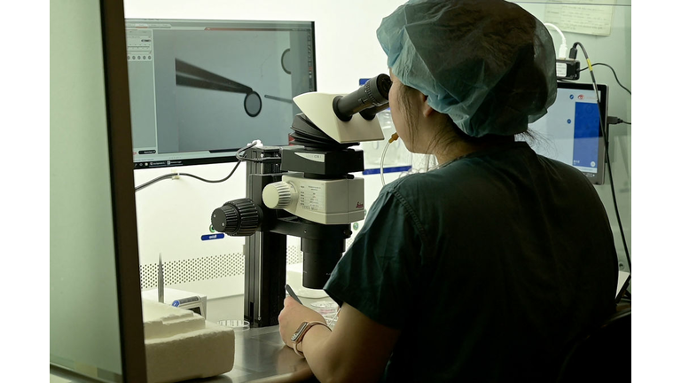 SKOREA-SOCIAL-DEMOGRAPHICS