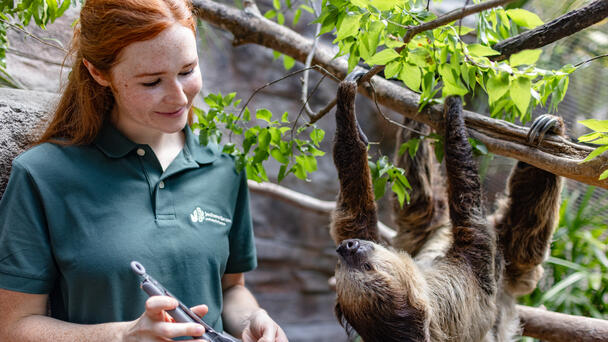 Your Chance To Win A 4- Pack Of Tickets To The Jacksonville Zoo & Gardens