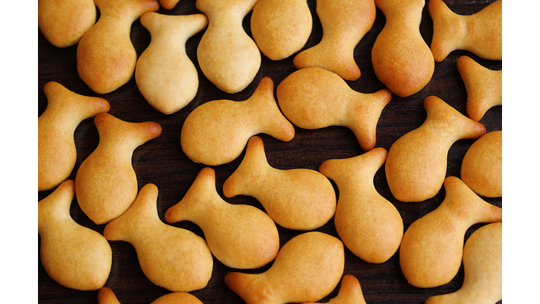 The texture is a small cracker made of cookies in the form of a fish.