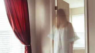 Video: Full-Bodied Apparition Spotted in Realtor's Photos of New Jersey Home?