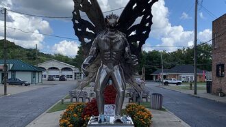 Watch: Mothman Webcam Captures Couple Getting Engaged