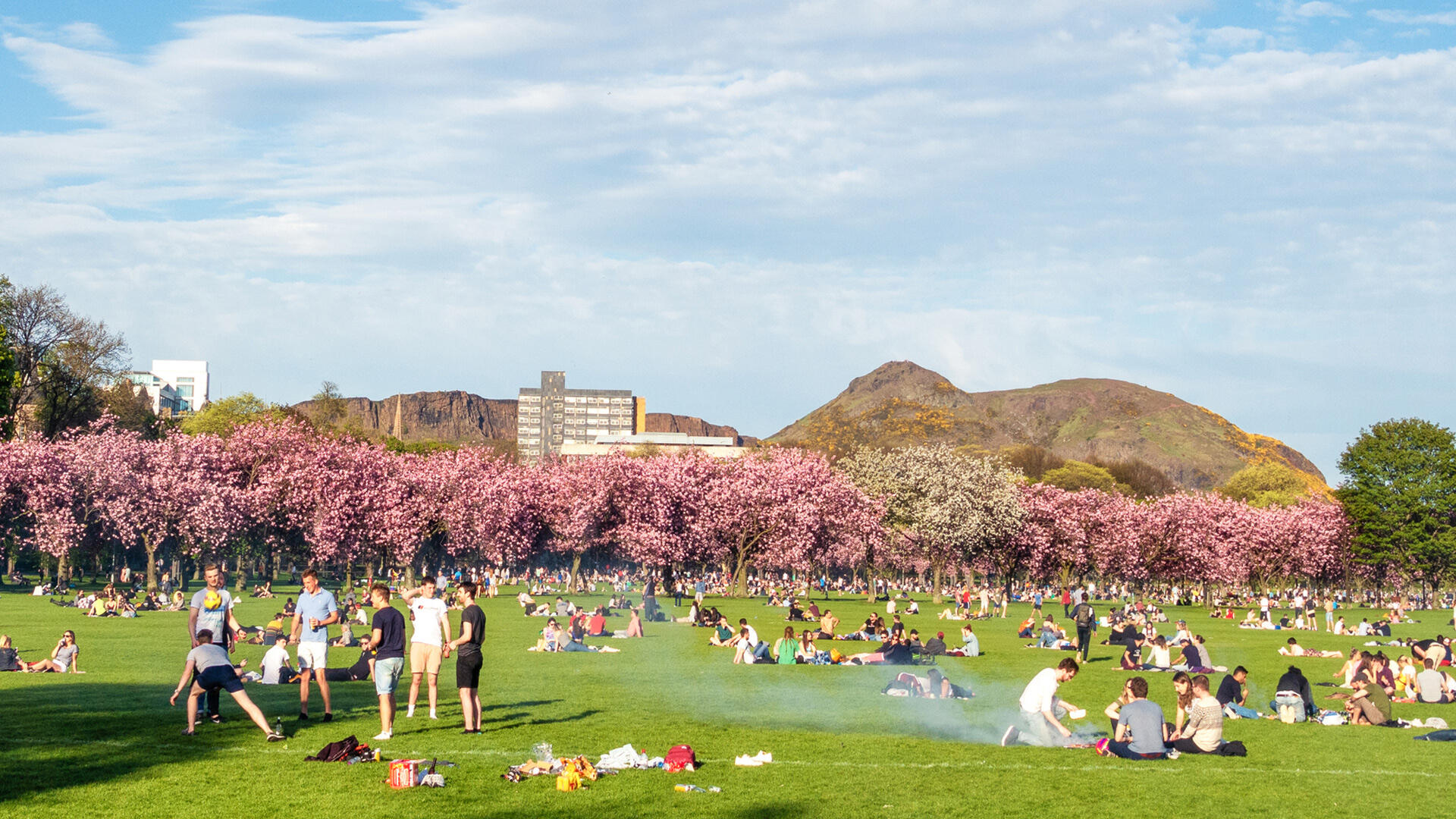 July is Park and Recreation Month!
