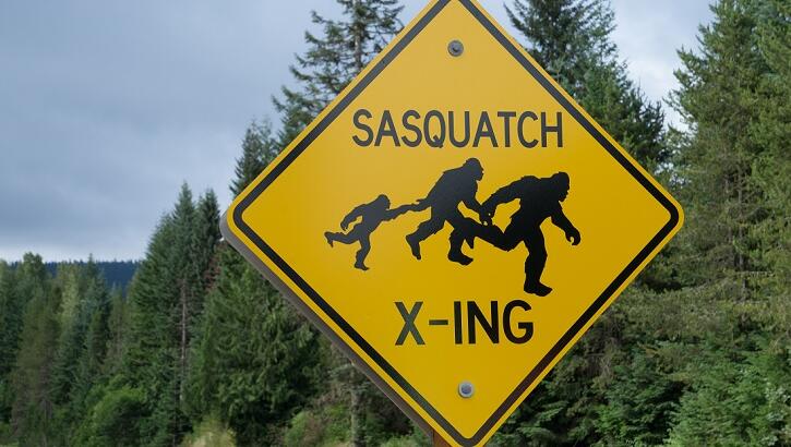 Washington State Fifth Graders Secure Sasquatch Protection Again