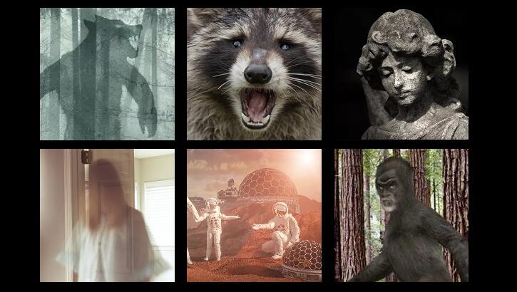 This Week's Weird News 6/13/25