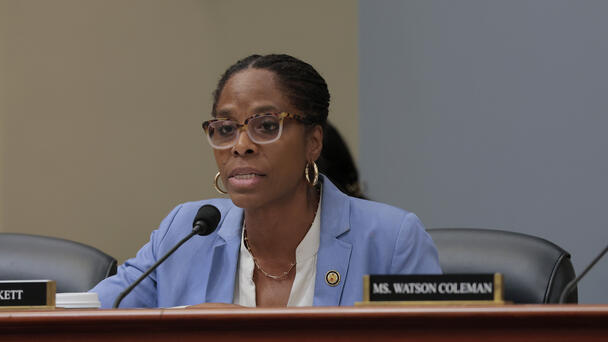 Rep. Stacey Plaskett Checks Trump Cabinet Member For Interrupting Her