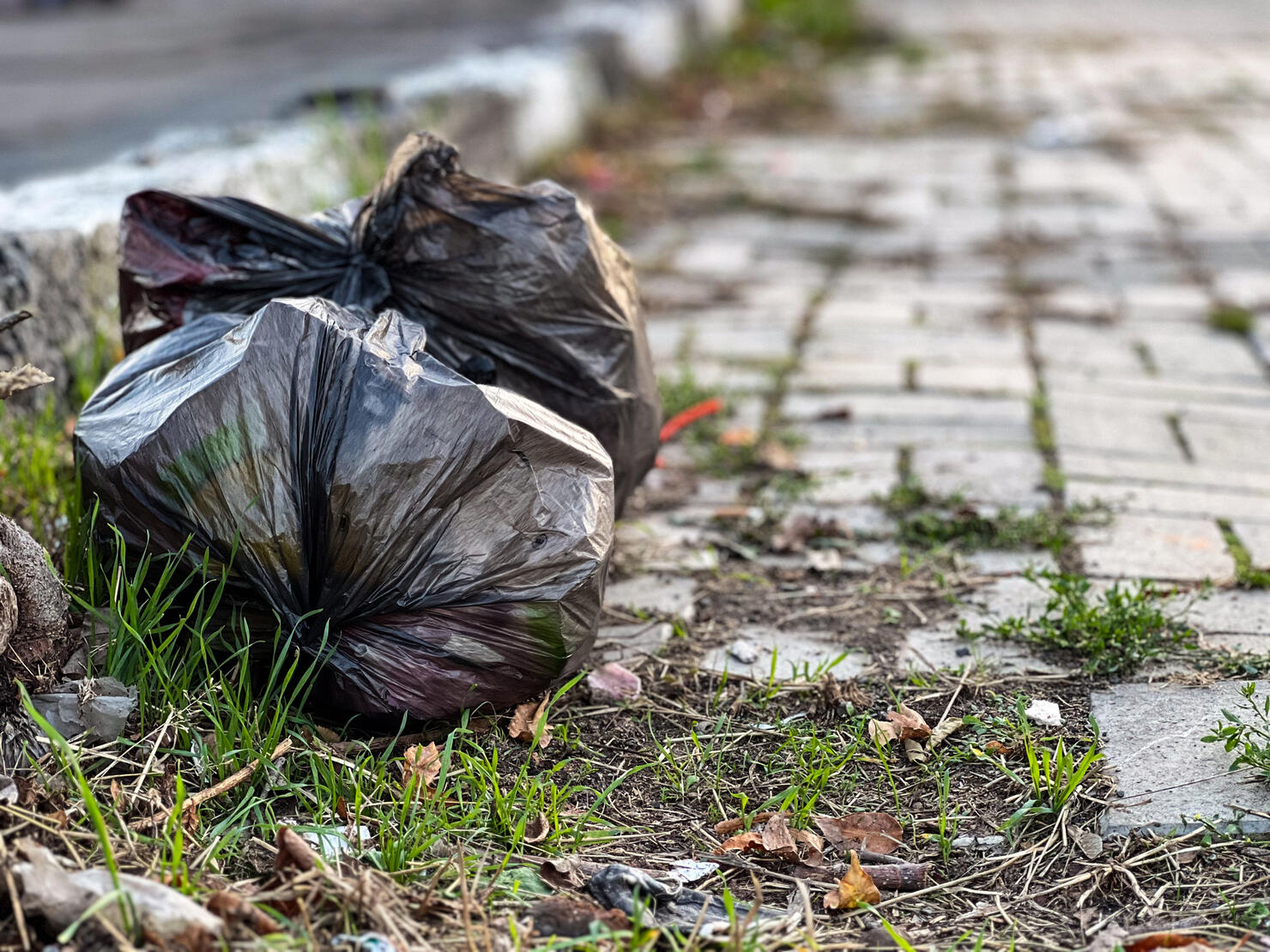A plastic bag is laying on the ground next to a brick walkway. The bag is black and he is full of trash. Concept of neglect and disregard for the environment