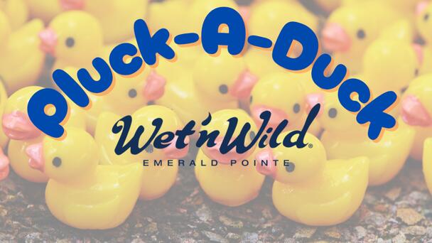 Pluck-A-Duck