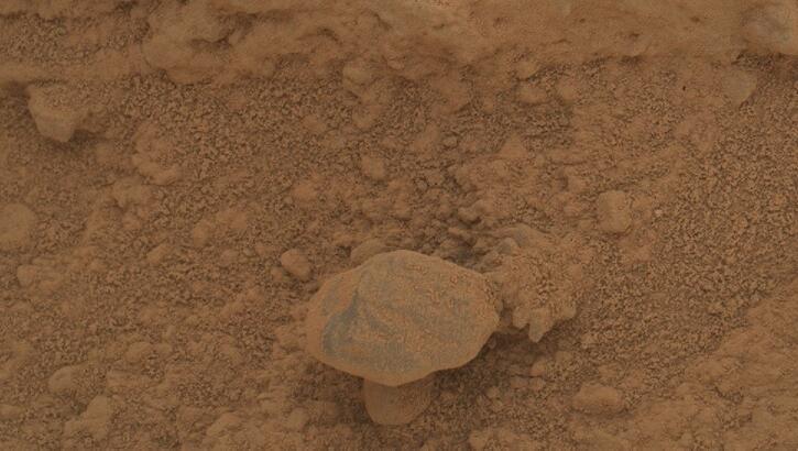 Video: Anomaly Hunter Spots Mushroom on Mars?