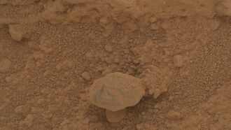 Anomaly Hunter Spots Mushroom on Mars?