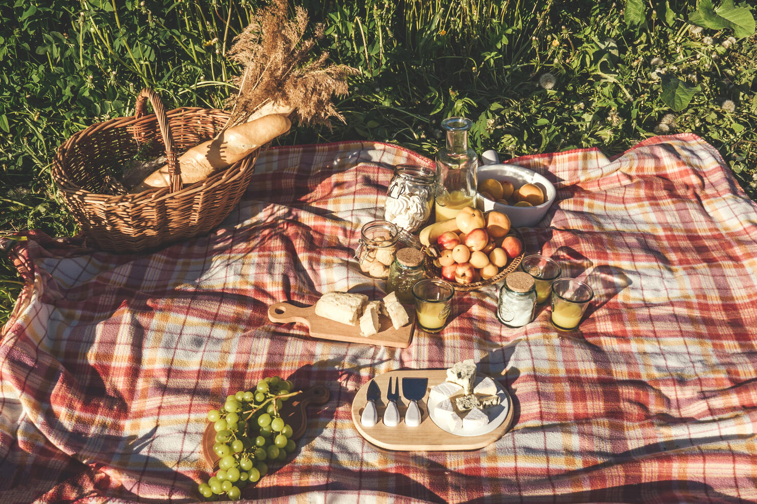Healthy picnic for a summer vacation