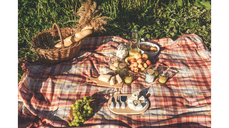 Healthy picnic for a summer vacation