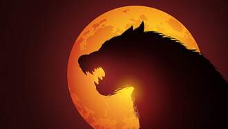 Video: Man Arrested in Colombia Claims to be Werewolf