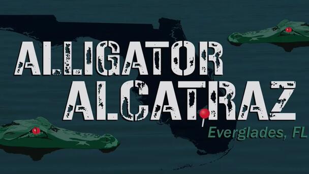 Miami-Dade's Mayor Wants More Access To "Alligator Alcatraz"