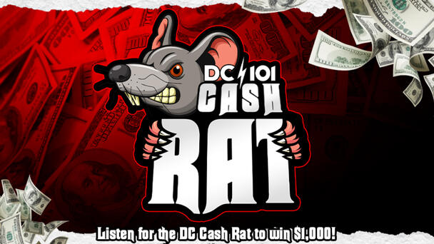 Ronnie The DC Cash Rat