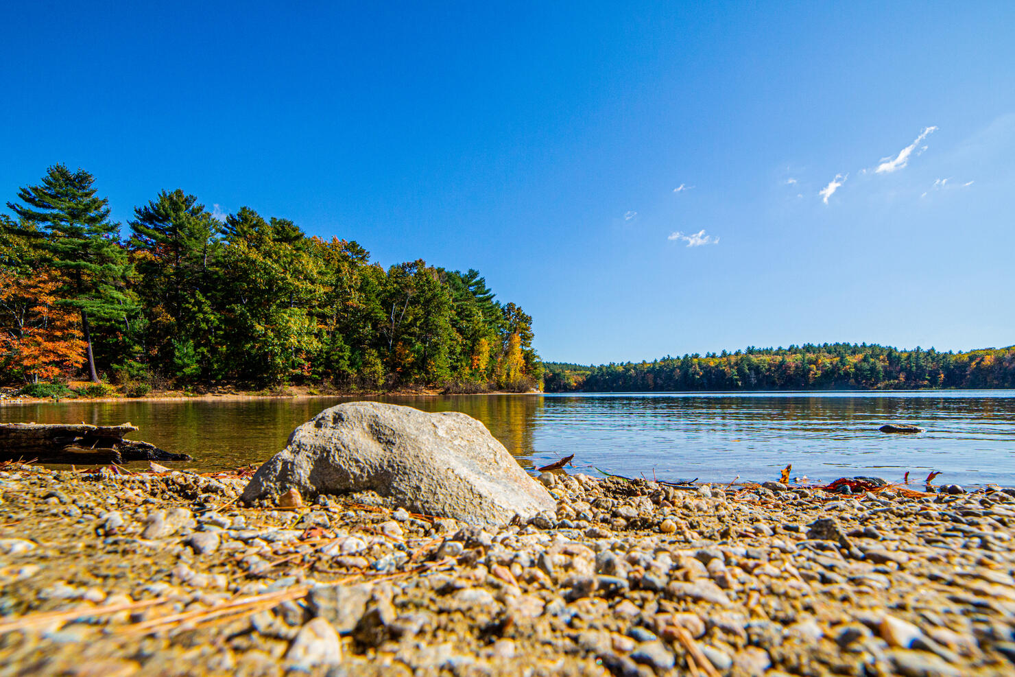 Walden pond state reservation in Concord, MA
