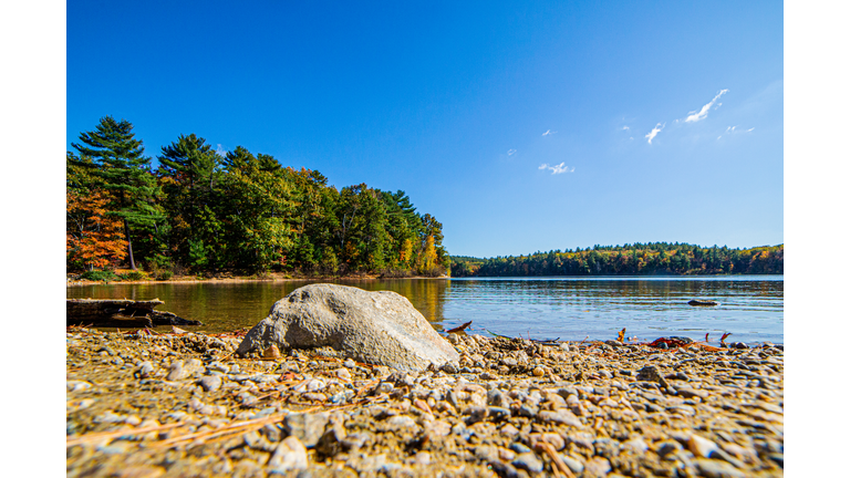 Walden pond state reservation in Concord, MA