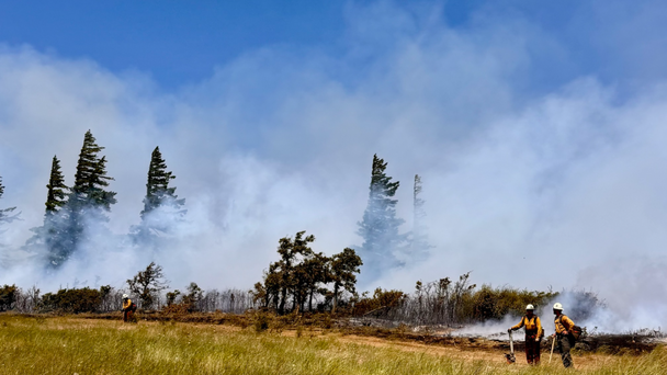 State Of Emergency Declared Over Rowena Fire