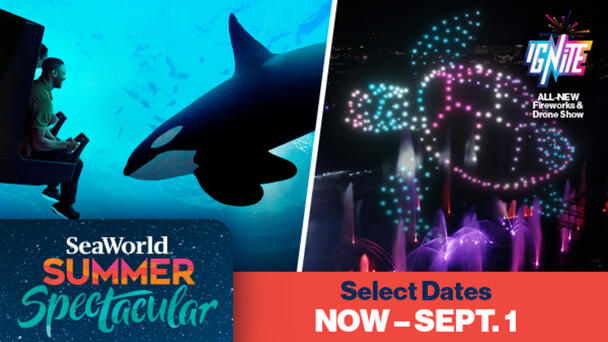Win Tickets To SeaWorld Summer Spectacular!