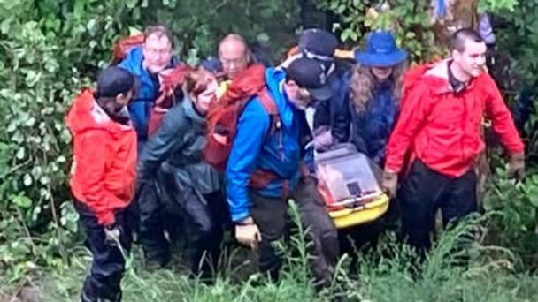 Hiker Survived 5 Days In The Woods After Falling From Tree