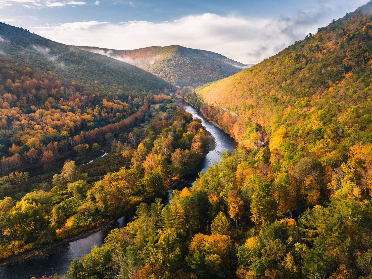 Pine Creek