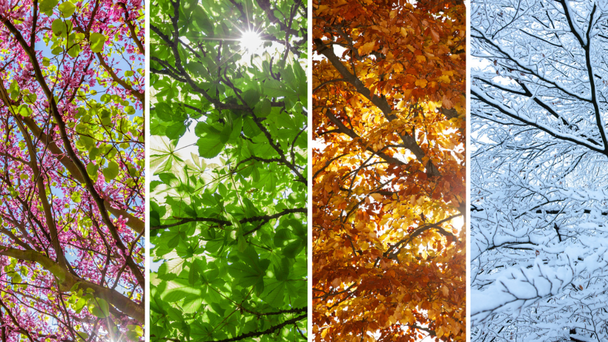 What Your Favorite Season Reveals About Your Personality