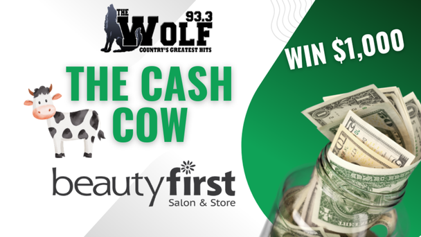 Cash Cow