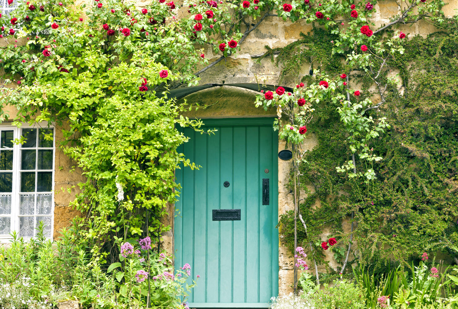 Charming House with green doors and red roses