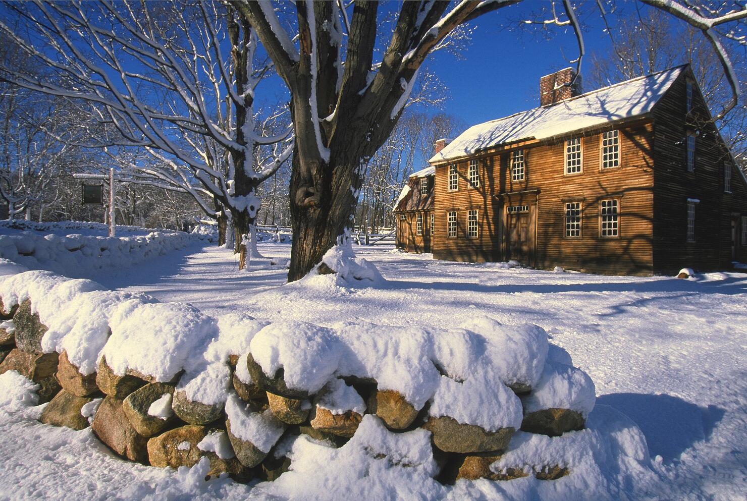 Winter Scenic