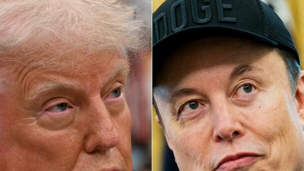 'We'll Have To Take A Look': Trump Weighs Deporting Elon Musk Amid Feud
