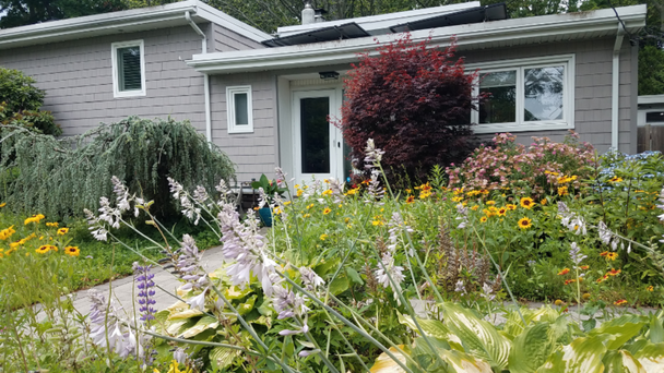 North Shore Man Trades Grass For Pollinator-Friendly Flowers