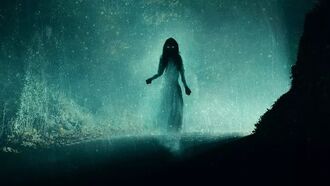 Video: Mexican Cops Slammed for Fleeing 'Ghost Woman' Seen on Side of Road