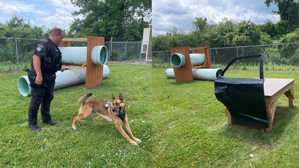 Calling All Framingham Dogs To Their New K-9 Training Facility  