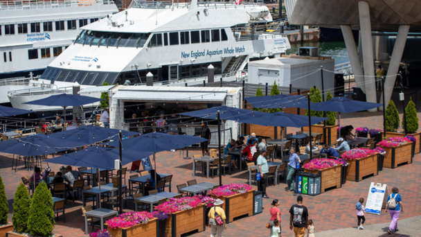 New England Aquarium Expects Thousands For HarborFest Fireworks Display