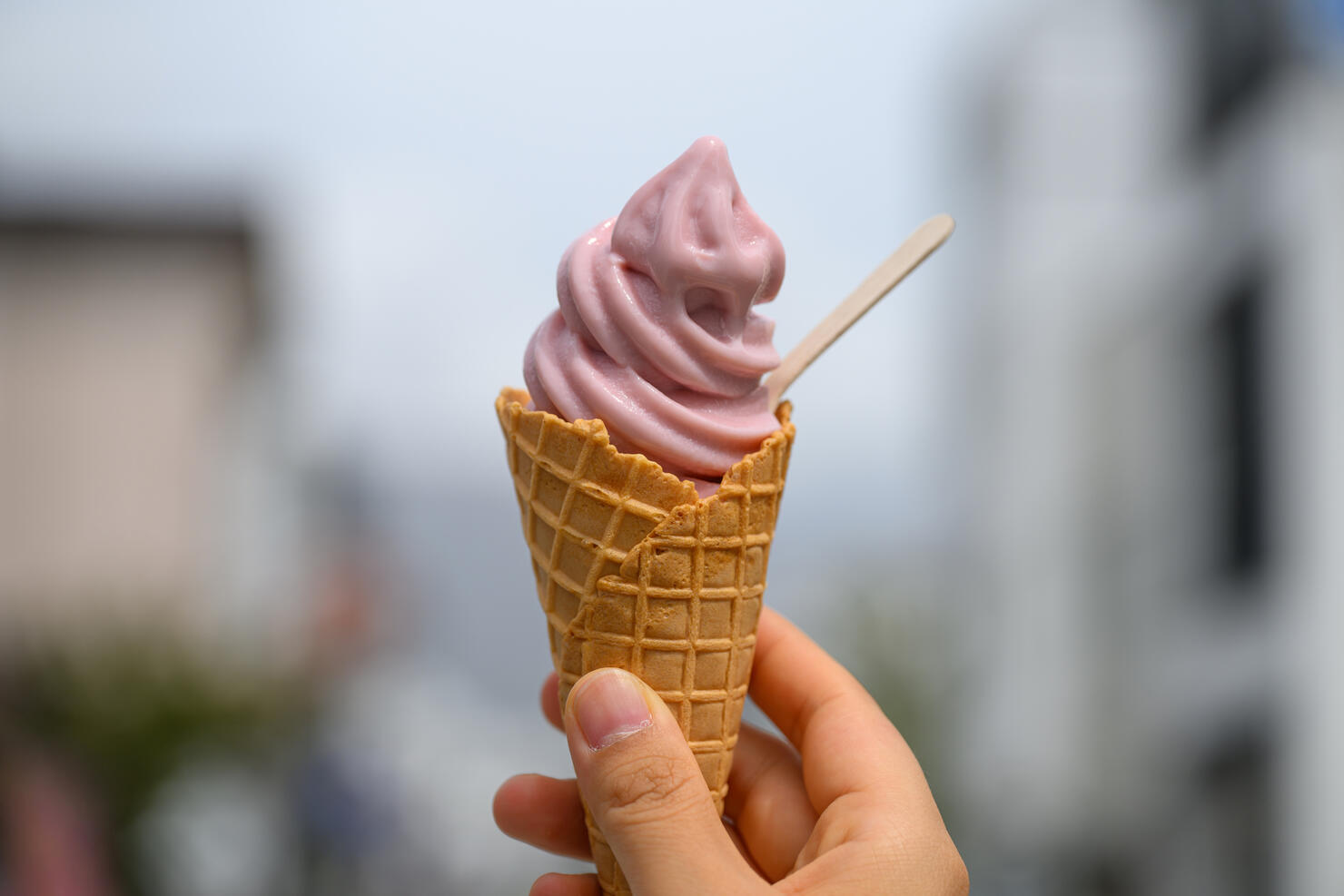 Sakura flavored ice cream